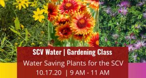 SCV Water - October 2020 Gardening Class