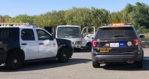 Santa Clarita Stolen Vehicle