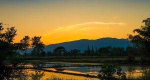 Sunset