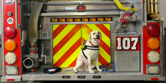 echo the fire dog 107 lacofd