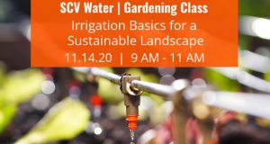 SCV Water - Nov 2020 Gardening Class