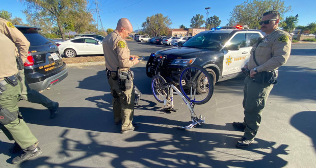 Valencia Robbery Dog Stolen