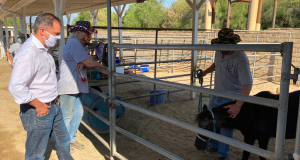 Mike garcia at Blue Star Ranch