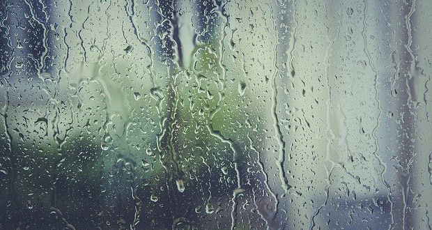 Rain on Window