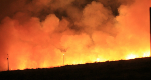 Santa Clarita Brush Fire Canyon Country Brush Fire