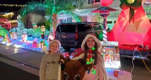 homestead holidays 121420