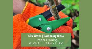 SCV Water - Gardening Class January 2021