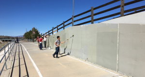 Volunteer Work- MLK Day Release