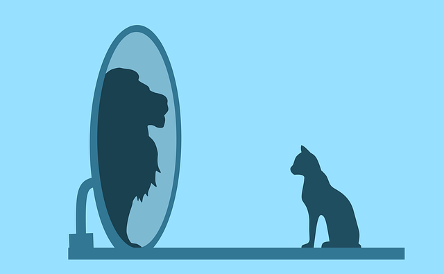 Cat looking in mirror