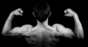 Muscles