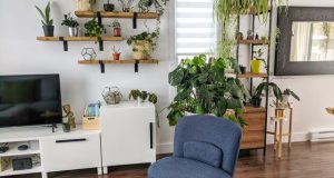 Plants in house