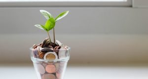 Plant in money