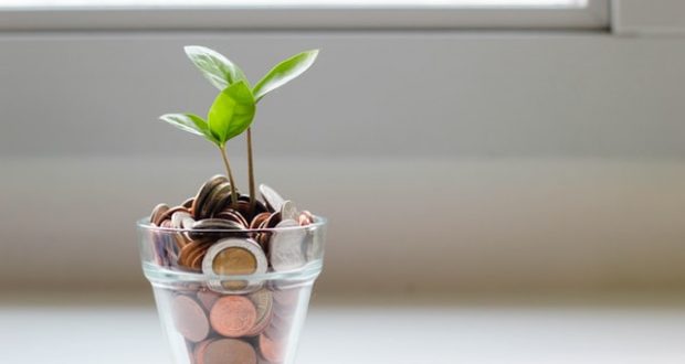 Plant in money