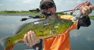 Man Fishing