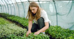 Gardening