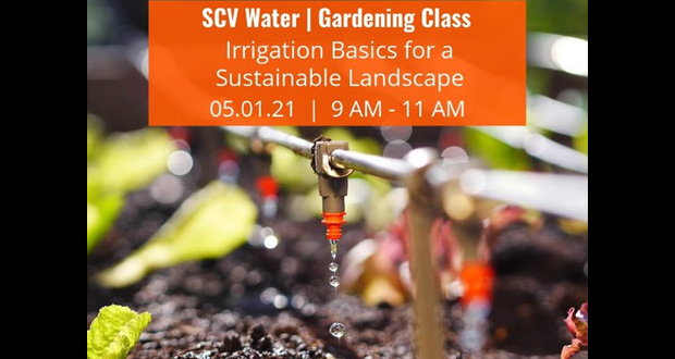 SCV Water Gardening Class: Irrigation Basics for a Sustainable Landscape-May2021