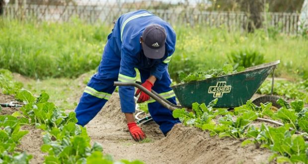 Agriculture worker
