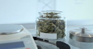 Cannabis in jar