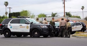 deputies standing together with multiple vehicles, one deputy is pointing off to the right while the others listen