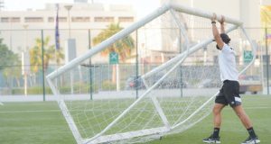 Goal Net