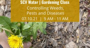 SCV Water Gardening Class July 2021