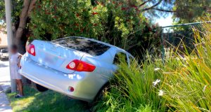 A car crashed into a tree