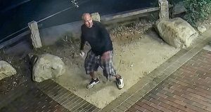rock throwing vandalism suspect khts