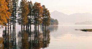 Lake