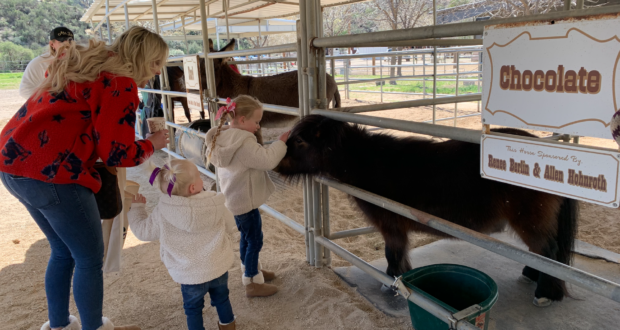 Carousel Ranch Hosts Open House For Santa Clarita Community - Vimarsana News