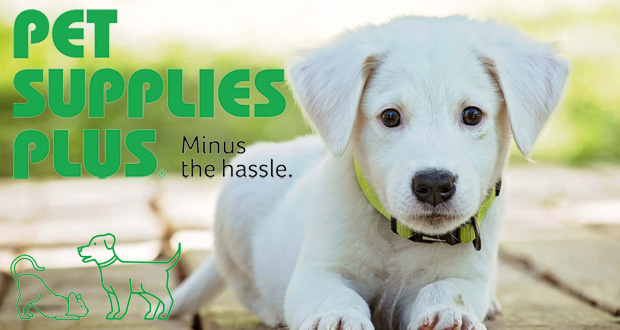 Help Your Dog Live A Happy Life By Visiting Pet Supplies Plus