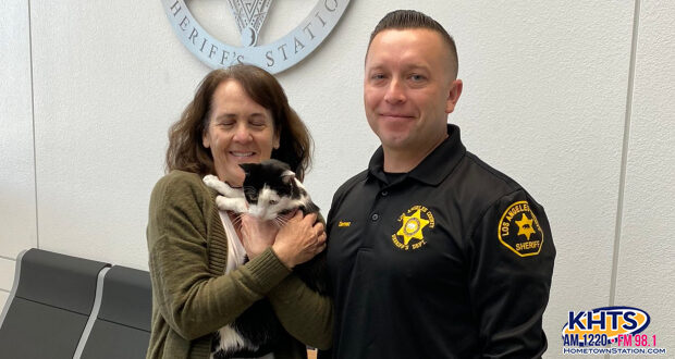 Stolen Cat Returned To Owner After Deputies Arrest Grand Theft Suspect - Vimarsana News