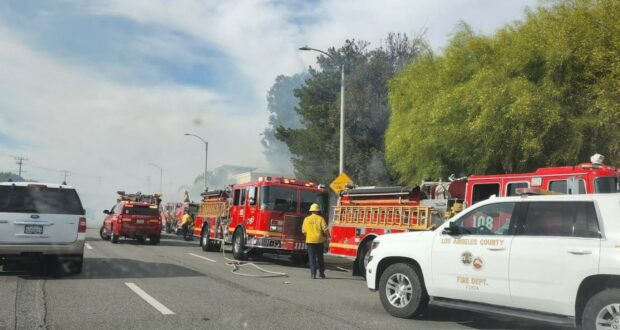 Brush Fire Spreads To Quarter Acre Before Being Stopped In Santa Clarita - Vimarsana News
