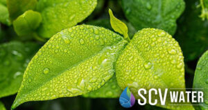 SCV Water Slider
