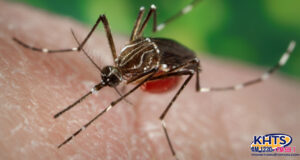 West Nile Virus
