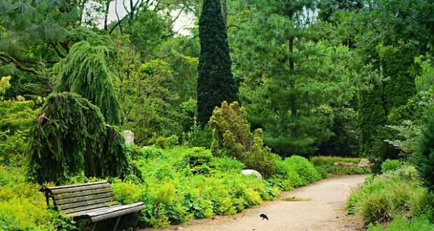 park