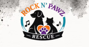 rock n pawz animal rescue 091826
